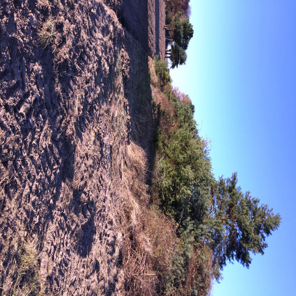 Offres de vente Terrain Maslives 41250