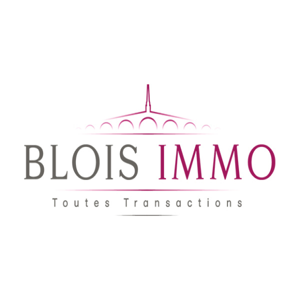 Offres de vente Appartement Blois 41000